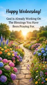 Midweek Encouragement