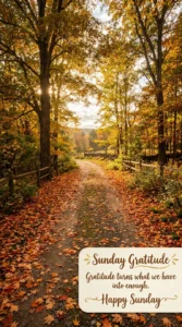 Sunday Gratitude